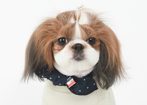 Dog Form-Scarf