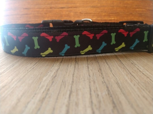 Colorful Bones Dog Leash